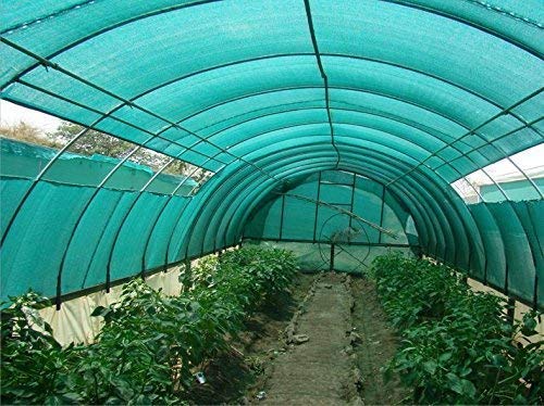 BENAVJI Green Shade Net, 50% UV Sun Protection, for Terrace, Garden, Green House, Balcony, & Gardening Multipurpose Agro Netting Size 5FTX16FT
