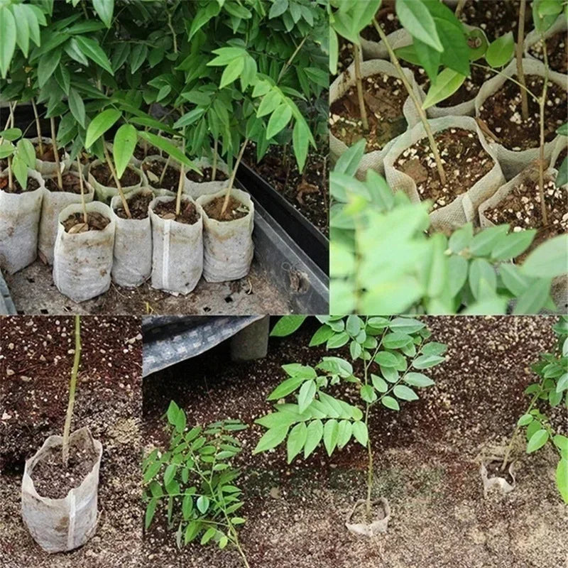 Eco-Friendly Biodegradable Nursery Bags for Plant Growth - Set of 100 Non-woven Fabric Seed Sowing Flower Pots Gardening Tools