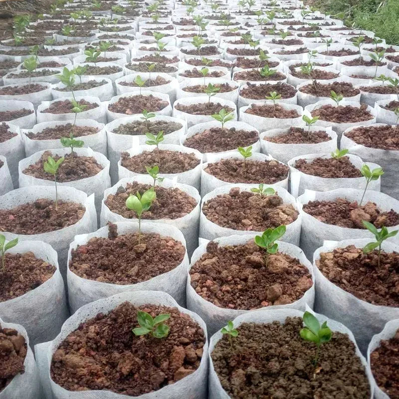 Eco-Friendly Biodegradable Nursery Bags for Plant Growth - Set of 100 Non-woven Fabric Seed Sowing Flower Pots Gardening Tools