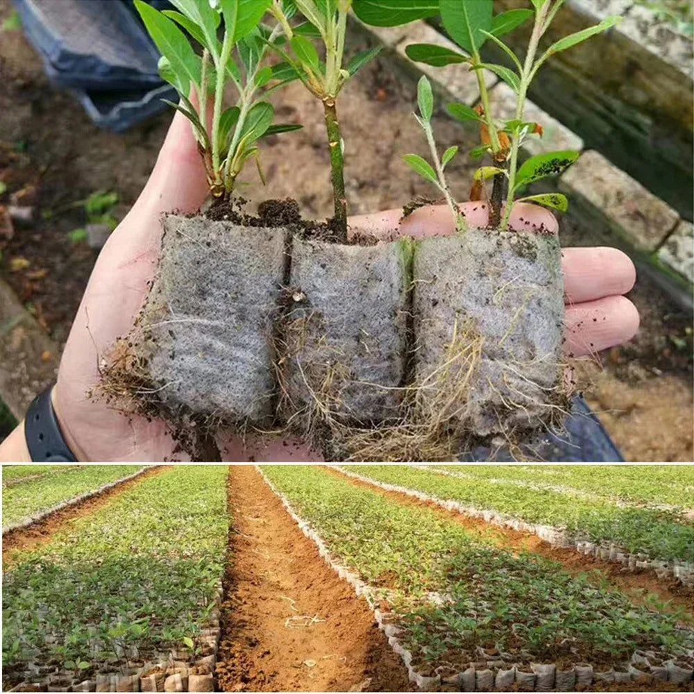 Eco-Friendly Biodegradable Nursery Bags for Plant Growth - Set of 100 Non-woven Fabric Seed Sowing Flower Pots Gardening Tools