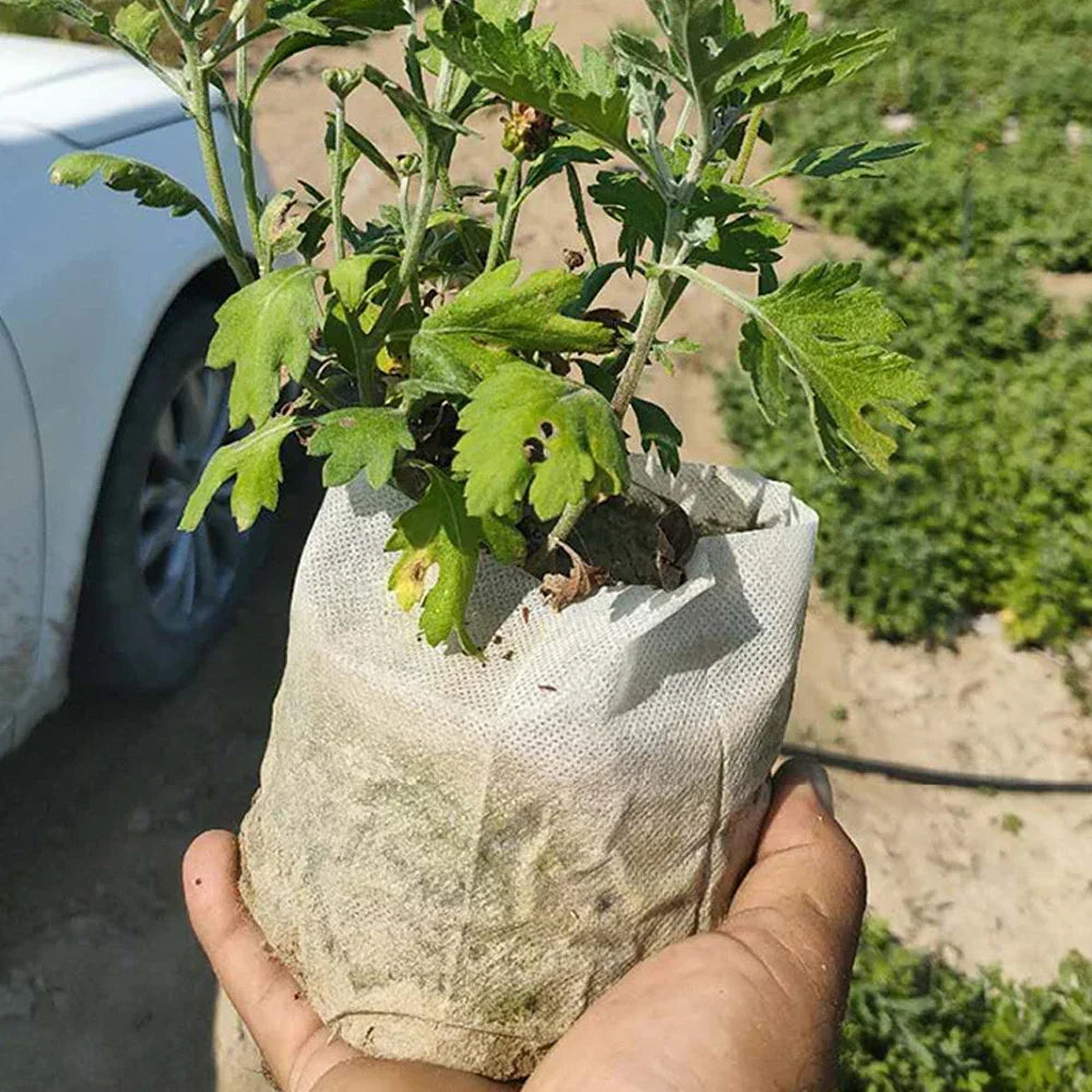 Eco-Friendly Biodegradable Nursery Bags for Plant Growth - Set of 100 Non-woven Fabric Seed Sowing Flower Pots Gardening Tools